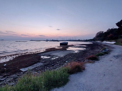 Καθαρισμός - απομάκρυνση φυκιών και σκουπιδιών απο την ακτή στην παραλία Νέας Κρήνης.