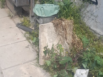 αμμεσα  Ενθ αντιστασεως