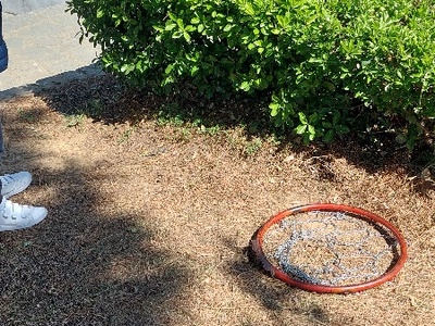 Μπασκετα Ουλοφ Πάλμε  Κουντουριώτου