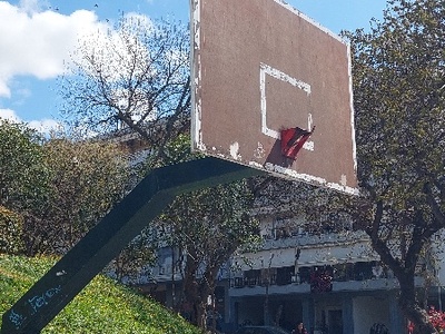 Μπασκετα Ουλοφ Πάλμε  Κουντουριώτου