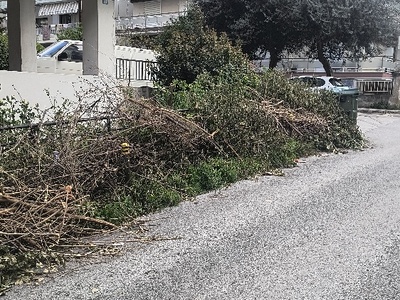 παρατημένα κλαδεματα στο πεζοδρόμιο Πουλαντζακη