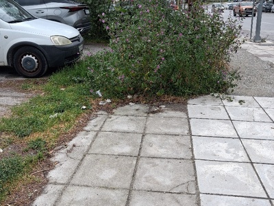 αμμεσα  Καθαρισμο χορτα  Ανδριανουπολεως