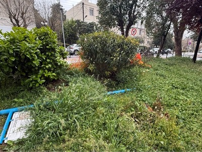 ΣΚΟΥΠΙΔΑΡΙΟ ΣΤΟ ΠΑΡΚΟ ΤΗΣ ΕΡΥΘΡΟΥ ΣΤΑΥΡΟΥ