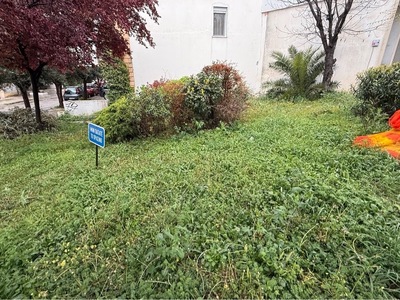 ΣΚΟΥΠΙΔΑΡΙΟ ΣΤΟ ΠΑΡΚΟ ΤΗΣ ΕΡΥΘΡΟΥ ΣΤΑΥΡΟΥ