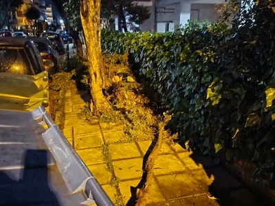 Μεγάλα κλαδιά δένδρου στο πεζοδρόμιο οδού Φαναρίου (διασταύρωση με Αντιγόνης)
