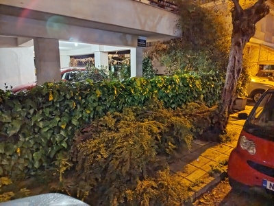 Μεγάλα κλαδιά δένδρου στο πεζοδρόμιο οδού Φαναρίου (διασταύρωση με Αντιγόνης)