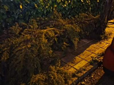 Μεγάλα κλαδιά δένδρου στο πεζοδρόμιο οδού Φαναρίου (διασταύρωση με Αντιγόνης)