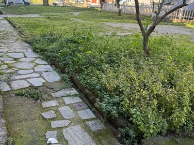 Κούρεμα χόρτων  	Αμφιτρίτης