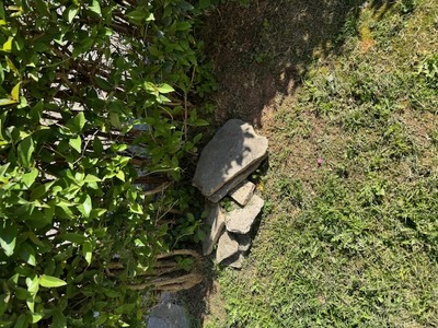 ΑΠΟΚΑΤΑΣΤΑΣΗ  ΠΛΑΚΕΣ  ΣΤΟ ΠΑΡΚΟ  ΑΜΑΖΩΝΟΣ