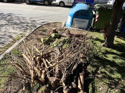 μάζεμα κλαδιών επι της ΤΥΡΟΛΟΗΣ 1