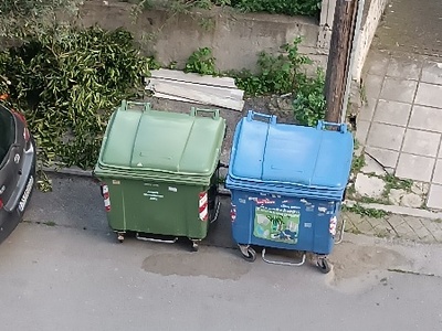 κομμενα κλαδιά πισω απο τους κάδους  	Ήρας