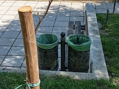 Δέντρο έτοιμο να πέσει, στο πάρκο κηφισιας