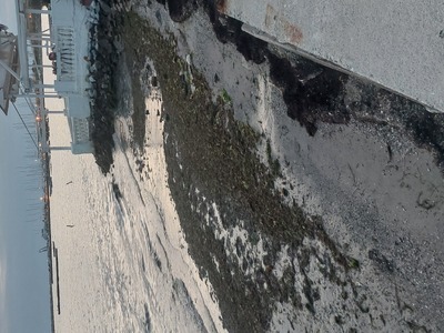 ΚΑΘΑΡΙΣΜΟΣ ΥΠΌΛΟΙΠΟΥ ΑΙΓΙΑΛΟΥ ΠΑΡΑΛΙΑ ΝΕΑ ΚΡΗΝΗ