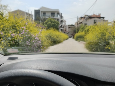 Αγριόχορτα και αγκάθια μας έπνιξαν & κλείνουν δρόμο  Άρη Βελουχιώτη