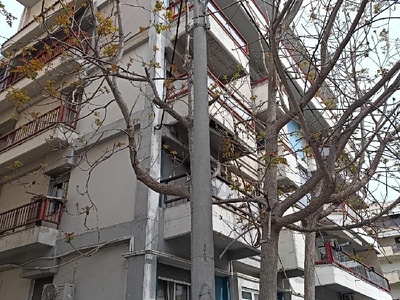 Κλάδεμα δέντρου που σπάνει τον ηλεκτροφωτισμό Κούσκουρα 4 και σκοτεινιάζει το στενό.
