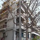Κλάδεμα δέντρου που σπάνει τον ηλεκτροφωτισμό Κούσκουρα 4 και σκοτεινιάζει το στενό.