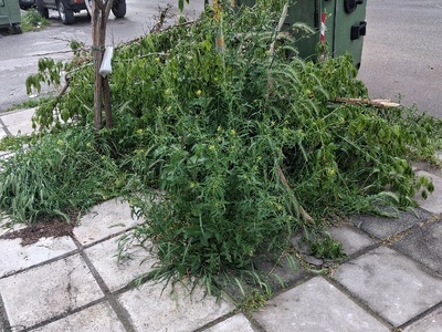 Καθ .ρωσσιδου Καθ ρωσσιδου