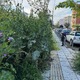 Κούρεμα αγριόχορτων Αγίου Βασιλείου