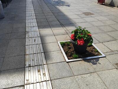 ΚΟΠΗ ΔΕΝΤΡΟΥ ΣΤΟ ΠΕΖΟΔΡΟΜΟ ΘΡΑΣΥΒΟΥΛΟΣ ΛΑΖΑΡΙΔΗΣ ΣΤΗΝ  ΚΟΜΝΗΝΩΝ