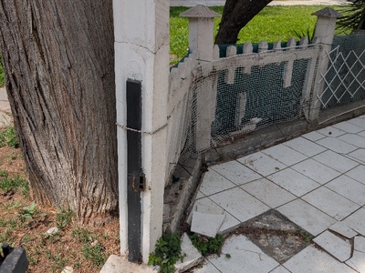 Επικίνδυνο δέντρο