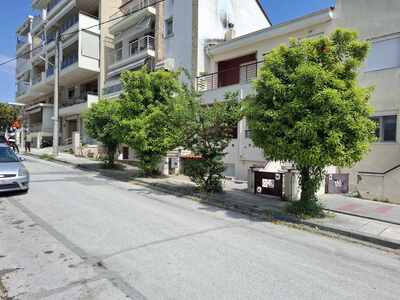 Κλάδεμα 2 δέντρων  Γιάννη Ρίτσου