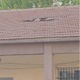 17ο ΔΗΜΟΤΙΚΟ ΣΧΟΛΕΙΟ ΚΑΛΑΜΑΡΙΑΣ