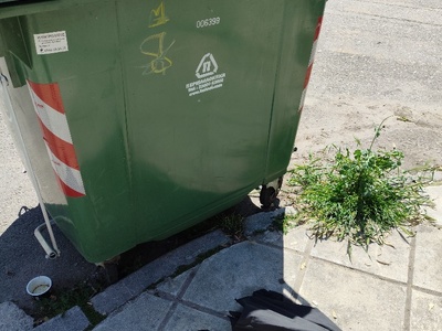 Ομπρέλα  πεταμένη  Μητροπολίτου Καλλίδου