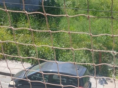 Κίνδυνος πυρκαγιάς και υγειονομικό προβλημα λόγω χορτων  ΟΙΚΟΠΕΔΟ  Τσιγγιρίδου