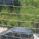 Κίνδυνος πυρκαγιάς και υγειονομικό προβλημα λόγω χορτων  ΟΙΚΟΠΕΔΟ  Τσιγγιρίδου