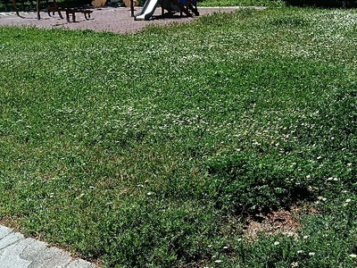 κουρεμα γρασιδιού   παιδική χαρά Σουλίου