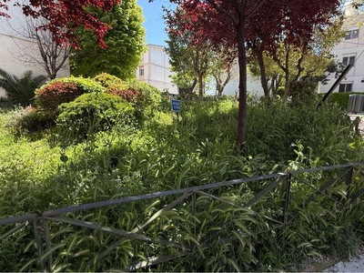 ΚΟΥΡΕΜΑ ΧΟΡΤΩΝ  Ερυθρού Σταυρού με πάροδος γωνία