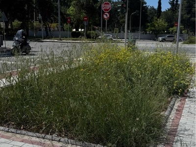 ΧΟΡΤΑΡΙΑΣΕ Η ΑΝΑΚΑΙΝΙΣΜΕΝΗ ΕΡΥΘΡΟΥ ΣΤΑΥΡΟΥ