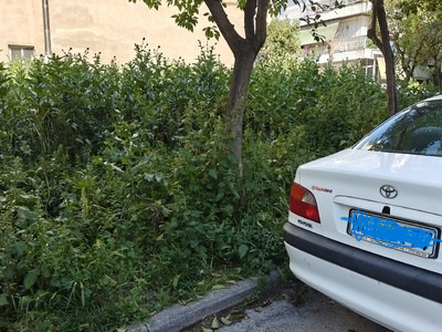 Ζουγκλα γίναμε!  Δορυλαίου με Αλικαρνασσου    οικόπεδο ανήκει στον Δήμο.