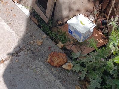 Εστια μόλυνσης  Παύλου Καρολίδου