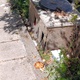 Εστια μόλυνσης  Παύλου Καρολίδου