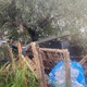 Αποθηκευση εφλευκτων υλικων σε περιφραγμενο αυθαιρετα χωρο  Ομήρου