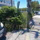 κουρεμα   στην  Ενθ αντιστασεως