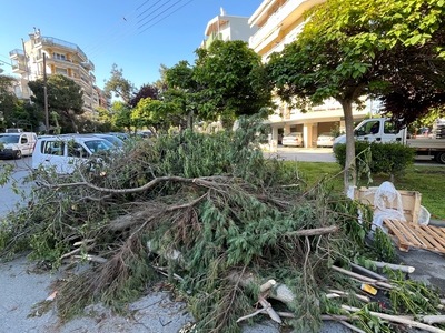 ΚΛΑΔΙΑ - ΤΥΡΟΛΛΟΗΣ