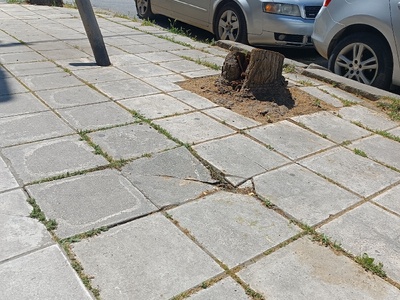 Ζημιά σε πλάκες πεζοδρόμιου  Αιγαίου