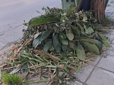 Κερασουντος κλαδια κτλ ... σκουπισμα
