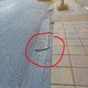 Επικίνδυνες μεταλλικές ράμπες σε πεζοδρόμιο   Παπανδρέου με Μακεδονίας επι της Παπανδρέου