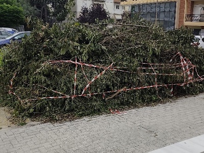 Καθαριότητα  Νικολάου Ζορμπά