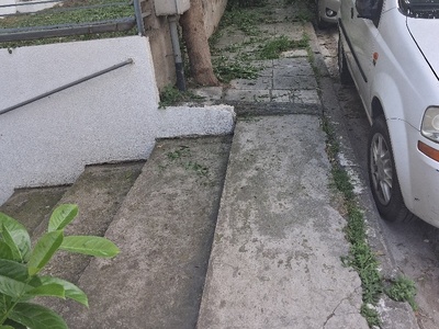 Απ παυλου  	Θελει σκουπισμα μετα κλαδεμα