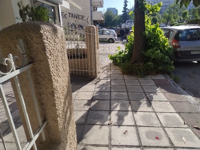 ΚΟΠΗ ΧΟΡΤΩΝ   Παπαφλέσσα