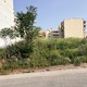 Κοπή χορτων  οικόπεδα στην Αρη Βελουχιώτη.