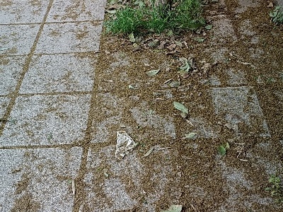 Έλλειψη καθαριότητας  πεζοδρόμια επί της Κολοτούρου