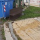 Απουσία μέριμνας για τα περιττώματα κατοικίδιων και μη ζώων Χρήστου Μαυρομάτη