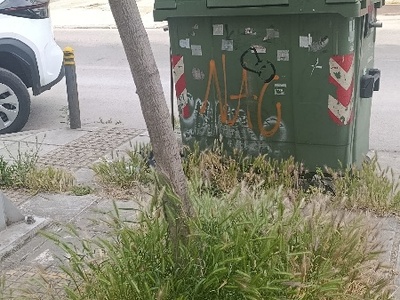 Καθαρισμός νησίδας πρασίνου αποξήλωση βλάστησης