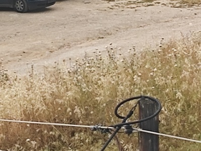 Παράνομοι μετανάστες ίσως σε κλεμμένα οχήματα  Μιαούλη