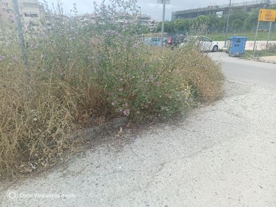 κοπή χόρτων διασταύρωση κ περιξ της ιεροψαλτών